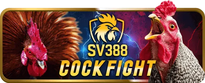 Màn hình điện thoại hiển thị quá trình cài đặt ứng dụng Win55 APK.